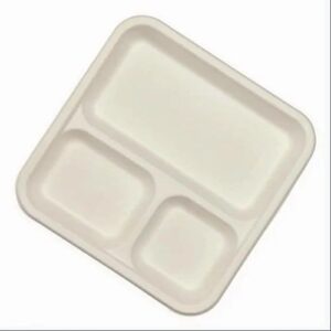 Bagasse White Square Dish-Pacific Design