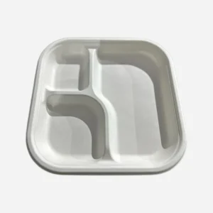 Sugarcane 9" 3-Compartment Square Plate