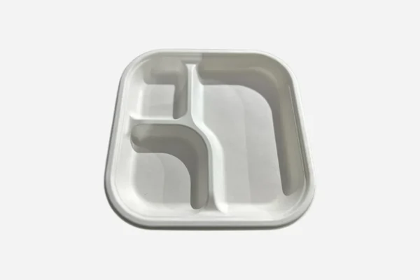 Sugarcane 9" 3-Compartment Square Plate